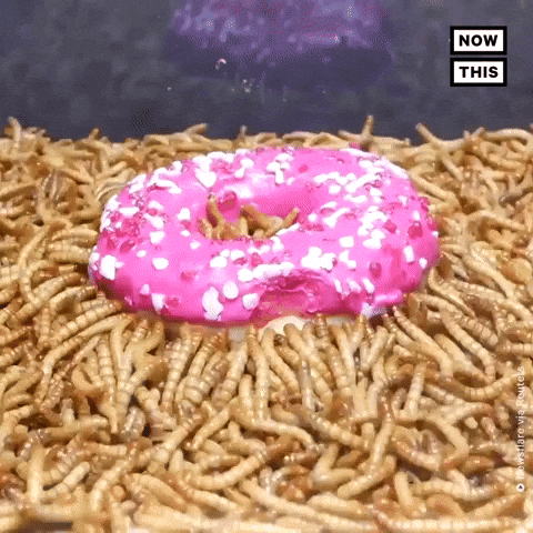 Ew Donut GIF by NowThis