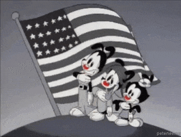 90s America animated GIF