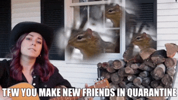 country music quarantine chipmunks new friends singing animals GIF
