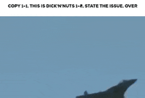Meme GIF