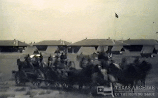 American Vintage GIF by Texas Archive of the Moving Image