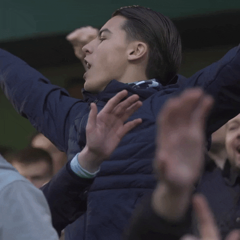 The Lions Fans GIF by MillwallFC