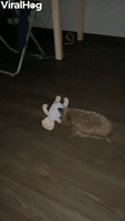 Toy Game Plays Toy Game Plays GIF - Toy Game Plays Toy Game Plays - Discover & Share GIFs