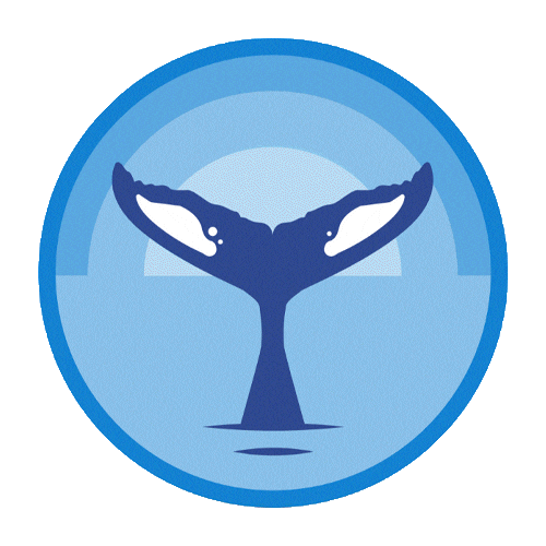 Whale Tonga Sticker by Skallywag Media