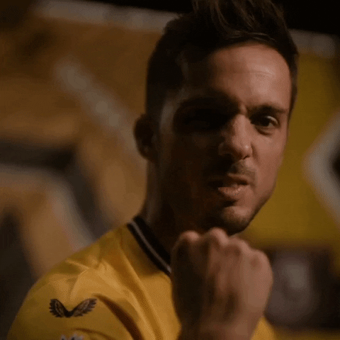 Get In Come On GIF by Wolves