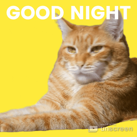 Sleepy Good Night GIF by Unscreen