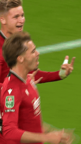 West Brom Goal GIF by West Bromwich Albion