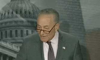 Chuck Schumer Tax GIF by GIPHY News