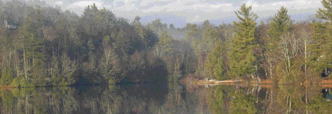 north carolina