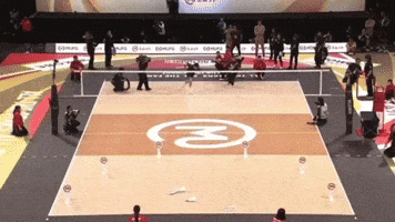 Sorry Japan GIF