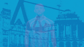 Football Tor GIF by ChemnitzerFC