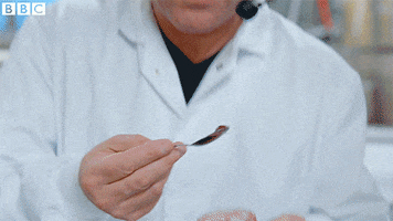 Food Eating GIF by BBC