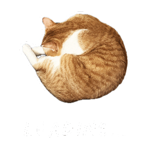 Cat Waiting Sticker