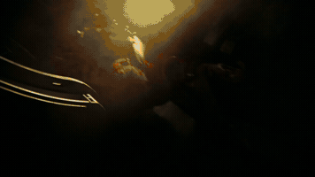 Project Hail Mary GIF