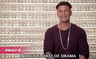 pauly d paul delvecchio GIF by A Double Shot At Love With DJ Pauly D and Vinny