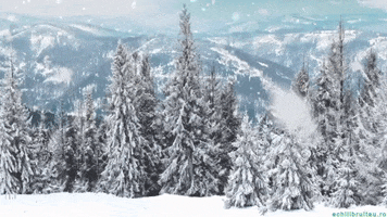 Good Morning Snow GIF by echilibrultau