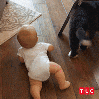Little People Big World Baby GIF by TLC Europe