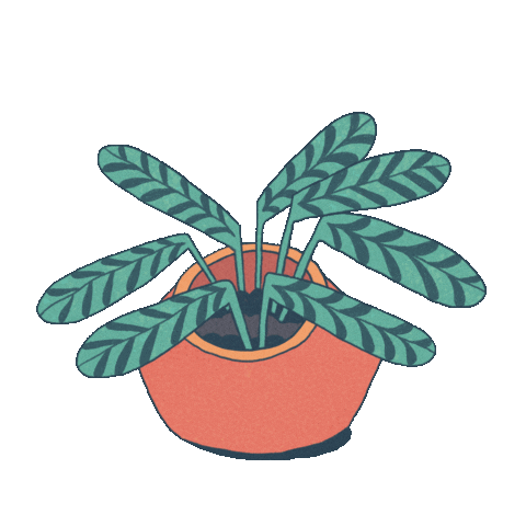 Plant Sticker