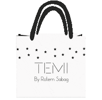 TEMI Sticker