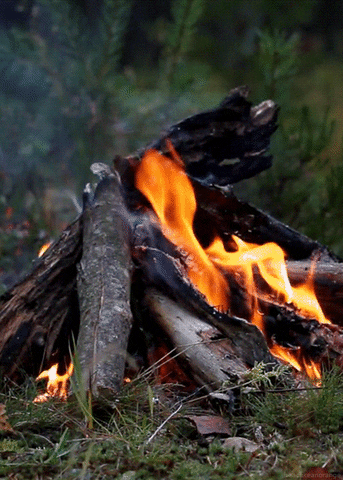Video gif. Flames blaze on a small campfire.