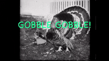 Gobble Gobble GIF