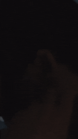 PLAZA GIF