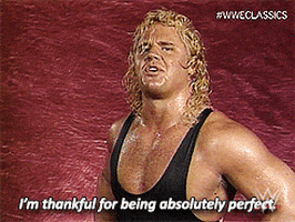 Mr Perfect Vintage GIF by WWE
