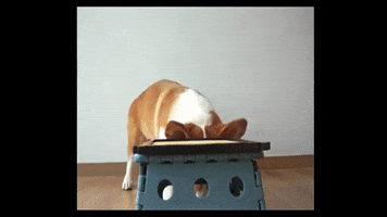 200.gif?cid=fc005b088b758087bc53d12a5d8e4326bbe2ec2a6201dff0&rid=200.gif&ct=g