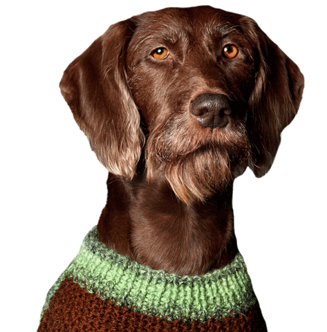 helgaaamanufaktur Sticker