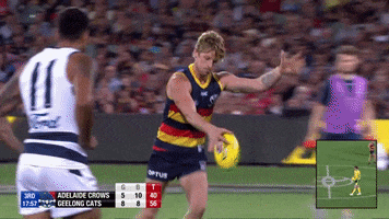 rory sloane celebration GIF by Adelaide Crows