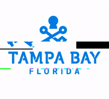 Visit Tampa Bay GIF