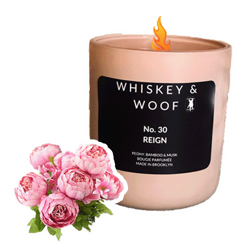 Whiskey & Woof Sticker