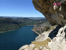 Hotel J. Balmes Vic GIF
