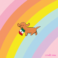 Cinco De Mayo Dog GIF by Stefanie Shank