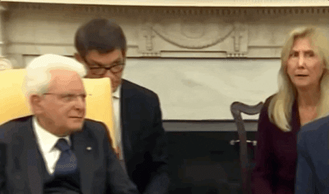 confused donald trump what? staring what did you say GIF