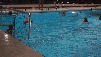 Wasserballklub Thun GIF