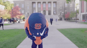 Sad Orange GIF by Syracuse University