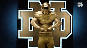 Glitter Gold GIF by Notre Dame Fighting Irish