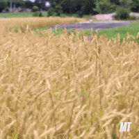 Dirt Every Day Truck GIF by MotorTrend
