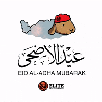 Eid Al Adha Orange GIF by Elite Swim Team Kuwait