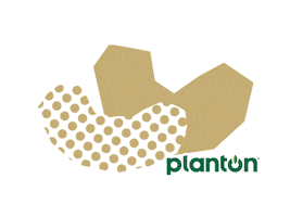 Nut Cashew Sticker by planton