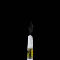Cbd Oil Smoking GIF by Experience CBD