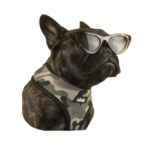 French Bulldog Dog Sticker by Oink Pet Supply
