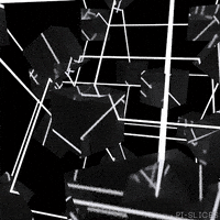 Black And White Loop GIF by Pi-Slices