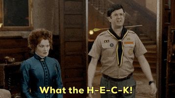 What The Hell Reaction GIF by CBS