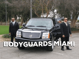 Bodyguards Miami GIF