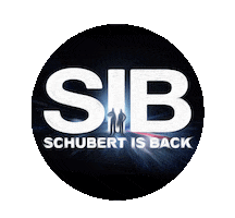 Driver Bmw Sticker by Schubert Motorsport