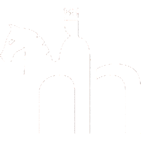 Magdeburgmarketing Sticker by visitmagdeburg