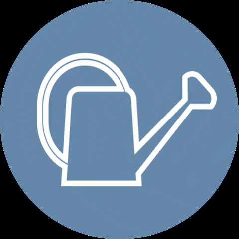 followthegeco GIF