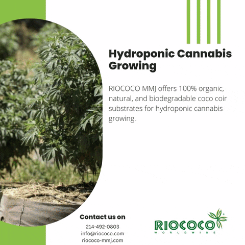 Grow Bags For Cannabis GIF